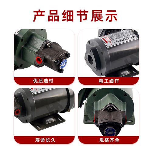220V电动机油齿轮油泵TOP-12A机床润滑TOP-11/13A三角摆线泵电机