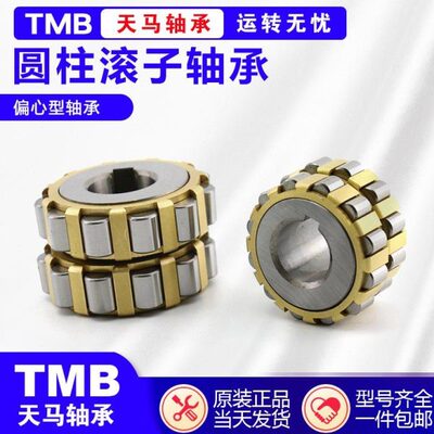 天马圆柱滚子整体偏心套摆线轮减速机轴承RN205  206 307 309 312