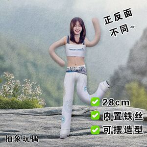 twice momo平井桃老鼠干周边正反面不同创意玩偶抽象搞怪铁丝娃娃