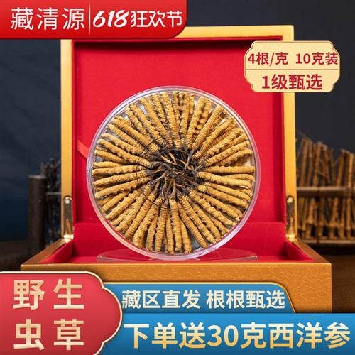 西藏那曲野生冬虫夏草干货4条/克40条正品干虫草旗舰店10克礼盒装