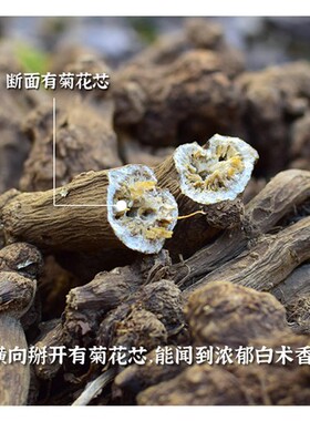 於术/于术 老种野生浙白术500g 整根个浙江白术 白术片中药材正品