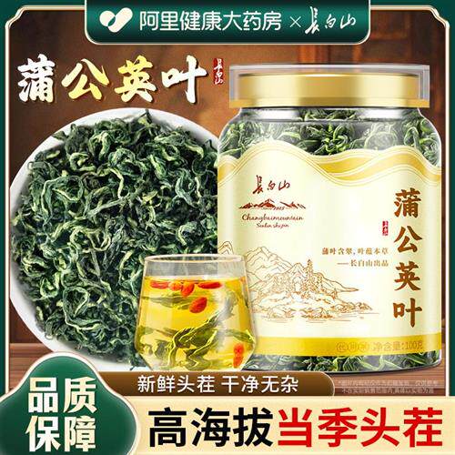 长白山蒲公英茶官方旗舰店正品婆婆丁特泡级野水生喝蒲公英根乳腺