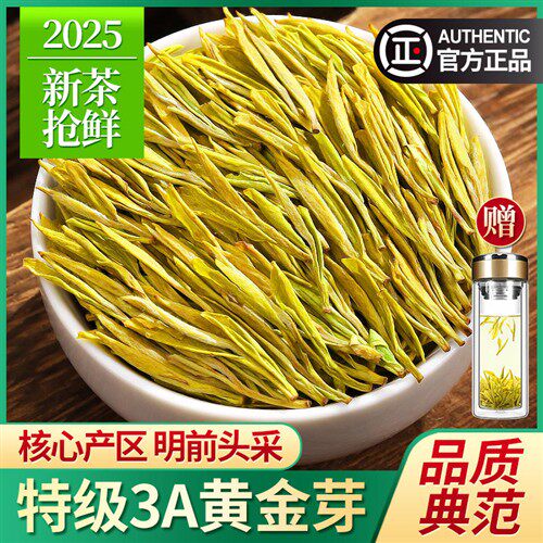 黄金芽2025年新茶特级3A安吉珍稀白茶明前绿茶散装茶叶礼盒装500g