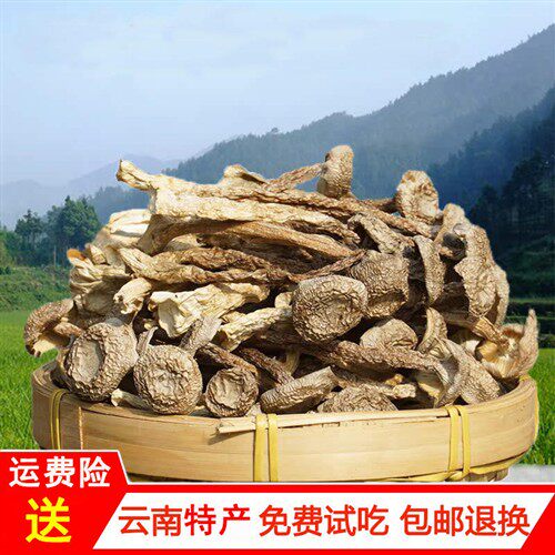 云南鹿茸菇特产干货500g包邮正宗鹿茸菌2025美味食用菌菇蘑菇香菇
