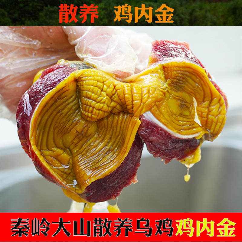 农家土鸡鸡内金小儿童鸡内金粉炒熟生鸡内金片磨粉鸡胗壳250g包邮