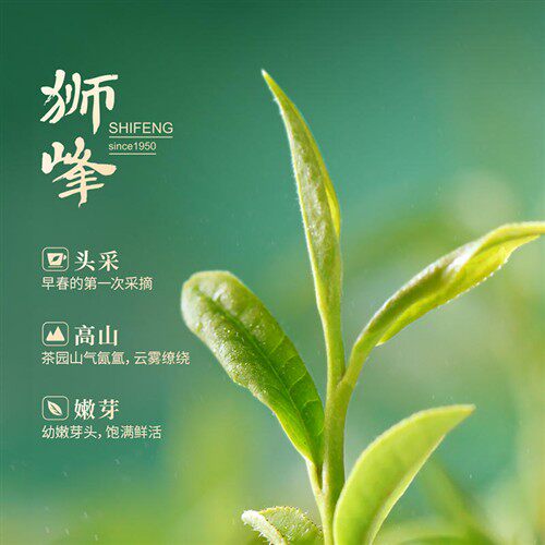 2025新茶上市狮峰牌头鲜龙井茶特级明前头采高山春茶绿茶叶250g