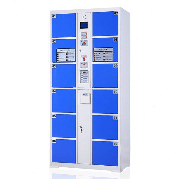 臻远 ZY-ST-G130 条码12门电子存包柜主柜 1800mm*850mm*460mm