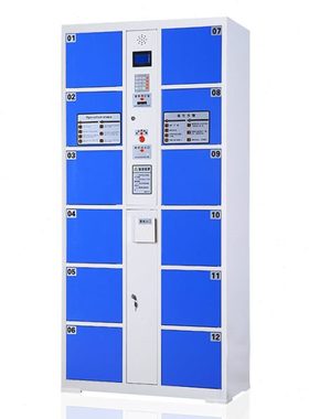 臻远 ZY-ST-G130 条码12门电子存包柜主柜 1800mm*850mm*460mm