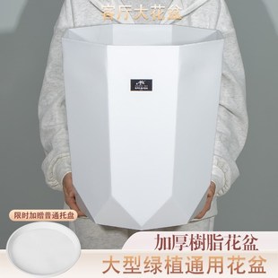 客厅塑料花盆发财树散尾葵专用办公室大型绿O植阳台耐用高级轻奢