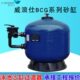 G滤B工程罐M缸CLA沙I过滤器石英砂游泳池威浪仕SW循环水处理设备