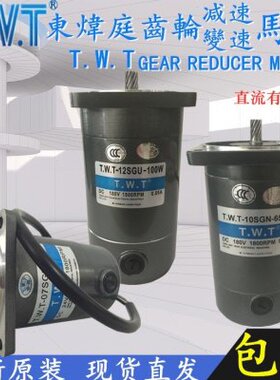东炜庭电机TWT-10 07 08 06SGN 10SGU 12V 24V 90V 180V直流马达