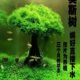 莫斯树鱼缸树真树沉木水草懒人造景无需底沙大蘑菇头鱼缸造景摆件