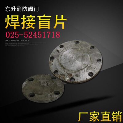 碳钢法兰盲板 焊接法兰盖 锻打法兰盖 管堵头DN15 32 50 80 100