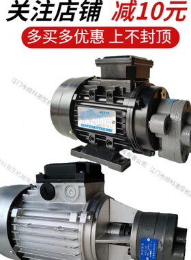锯床齿轮油泵电机组0.37KW 0.55KW CBW-4CB-B4 CB-B6 CB-B1循环润