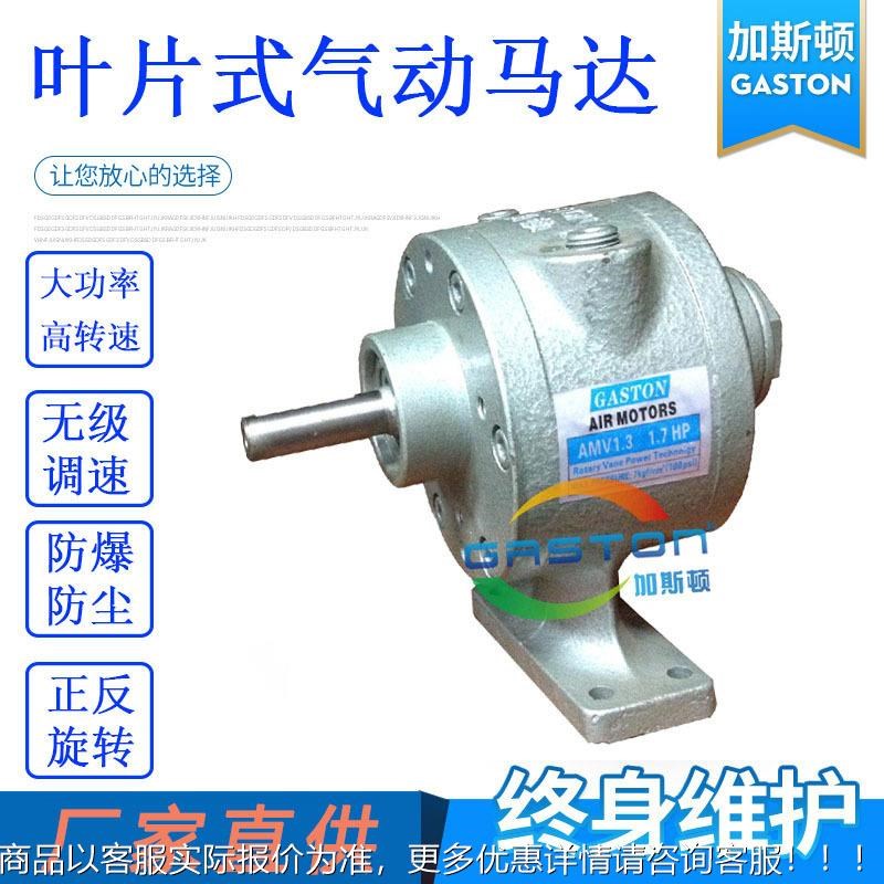 厂家直供 GASTON加斯顿小型气动马达 AMV1.T3叶片式气动马达