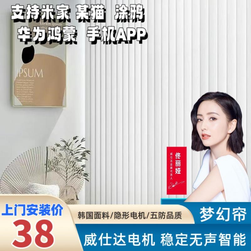 威仕达梦幻帘客厅卧室纱帘手动垂直帘落地透光R阳台纱飘窗智能百