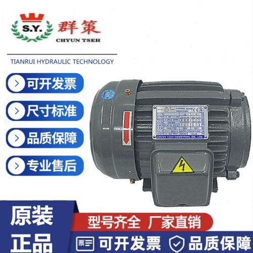 台湾SY群策油泵内轴电机马达1HP2HP 3HP 5HP C01-43B0C03-43B0 C0