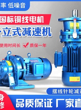 行星摆线针轮减速机带电机立式BBWD小型卧式减速器摆针式国标铜芯