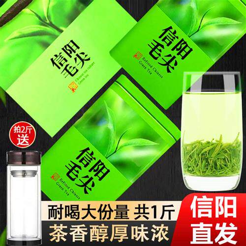绿茶2025新茶信阳毛尖嫩芽叶雨前一级浓香型高山毛尖茶叶500g