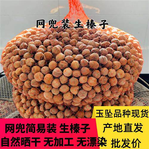 生榛子2024新货东北特产铁岭开原自然晒干野生山榛子未加工生吃