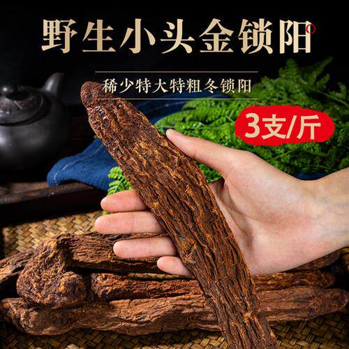 上等甘肃金锁阳500g整根泡酒料男滋补搭肉苁蓉淫羊藿枸杞