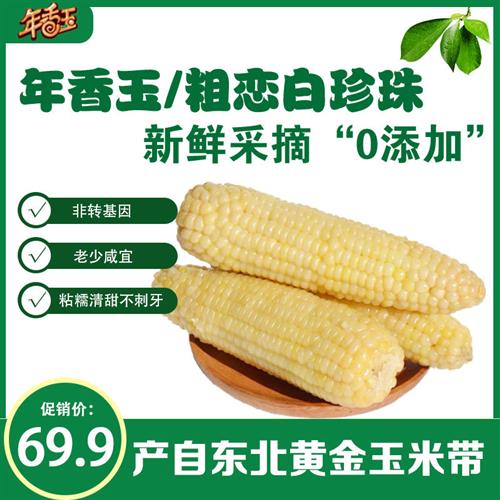 年香玉新鲜粗恋白珍珠东北速冻粘糯玉米一箱16根无添加可代餐软香