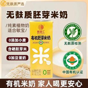 无麸质有机胚芽米植物奶糙米0蔗糖米乳0蛋奶儿童早餐饮品易吸收