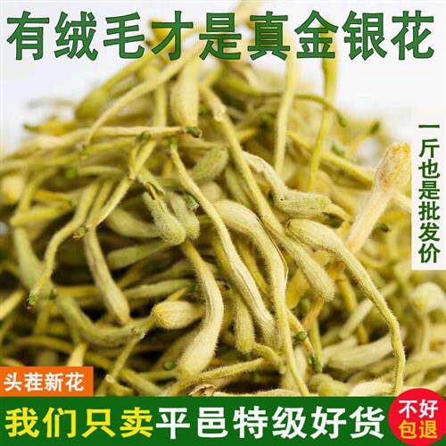 金银花茶清火茶散装养生茶平邑原产金银花中药500g一级精选产地茶
