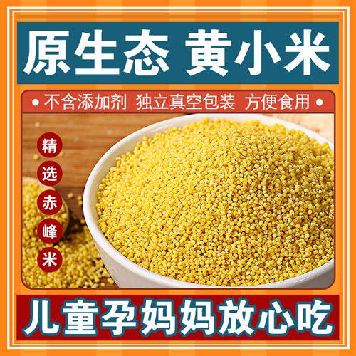 无添加天然黄小米2024新米农家自种食用五谷杂粮月子米宝宝小黄米