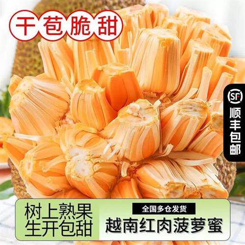 越南红肉菠萝蜜干苞脆甜味香浓郁顺丰包邮肉厚香甜当季现摘热带