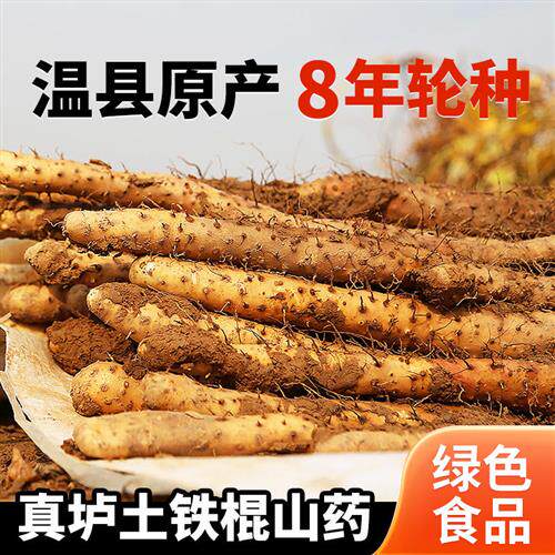 秦建国垆土铁棍山药5斤装河南焦作怀山药特产温县淮山铁杆山药