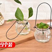 室内园艺家居装 9个装 悬挂透明玻璃花瓶南瓜小吊瓶简约水培花盆 饰