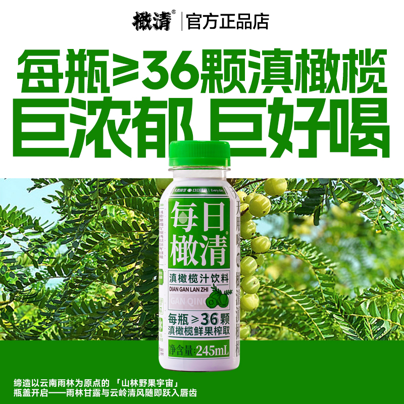 每日橄清滇橄榄汁果汁饮品一整箱