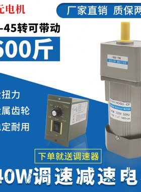 140W调速电机大力矩减速电动机交流220V正反转带刹车齿轮箱搅拌机