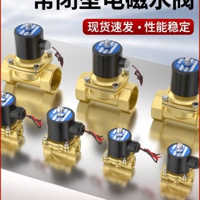 2W常闭24V电磁水阀220V铜开关阀2分4分6分1寸不锈钢放水阀12V气阀,标准件/零部件/工业耗材,气阀,淘宝优惠券,粉丝福利购,淘宝优惠卷