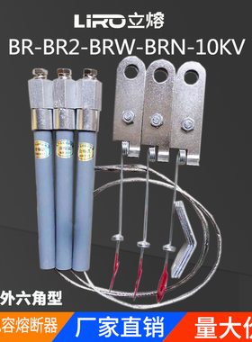 高压并联熔断器电容保护器BR2-BRW-BRN-10A12KV/15A25A60A70A80A