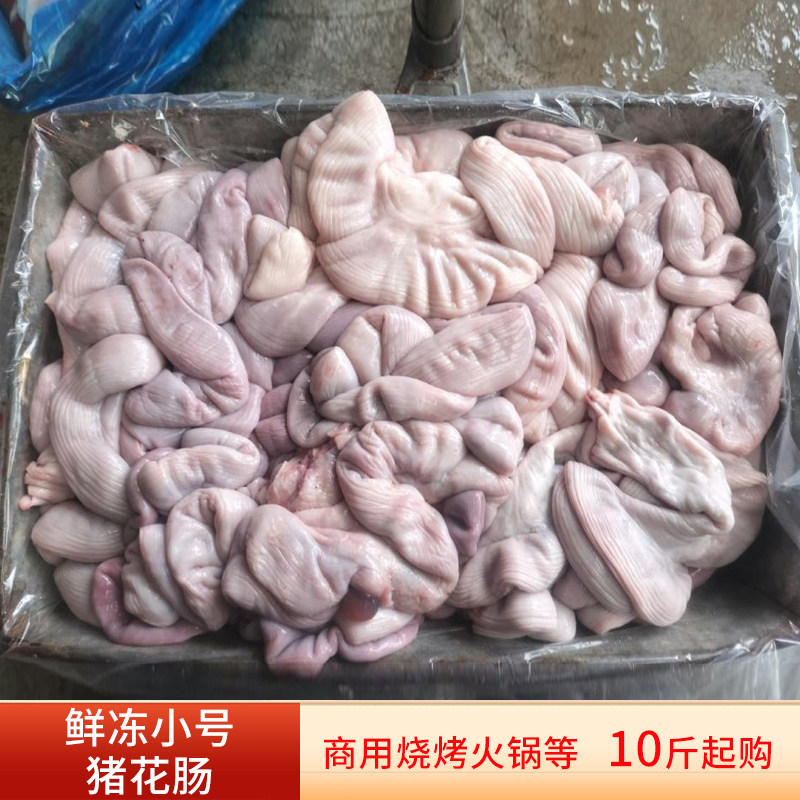 新鲜猪生肠冷冻小号猪花肠脆肠猪内脏火锅餐饮小炒烧烤食材商用