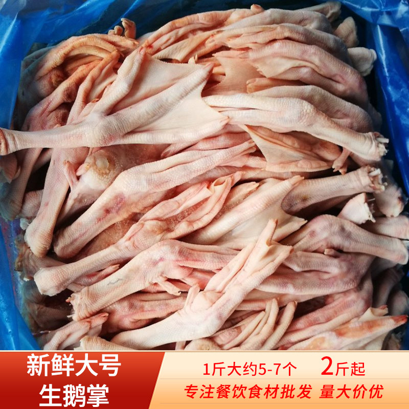 新鲜大鹅掌10斤农家散养大白鹅爪大鹅脚2斤卤菜冷冻生鲜食材