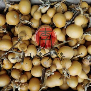 葫芦胎体大漆葫芦手捻小葫芦文玩葫芦漆器犀皮漆菠萝漆胎体1个