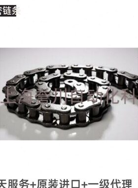 T0台湾8CT-1-8钢YB8T-YCYT不锈钢链条Y0碳C2链条链条C30B链条B