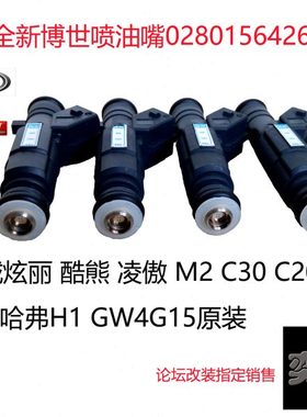 长城M4 炫丽M2酷熊C30凌傲C20R H1 GW4G15喷油嘴 0280156426