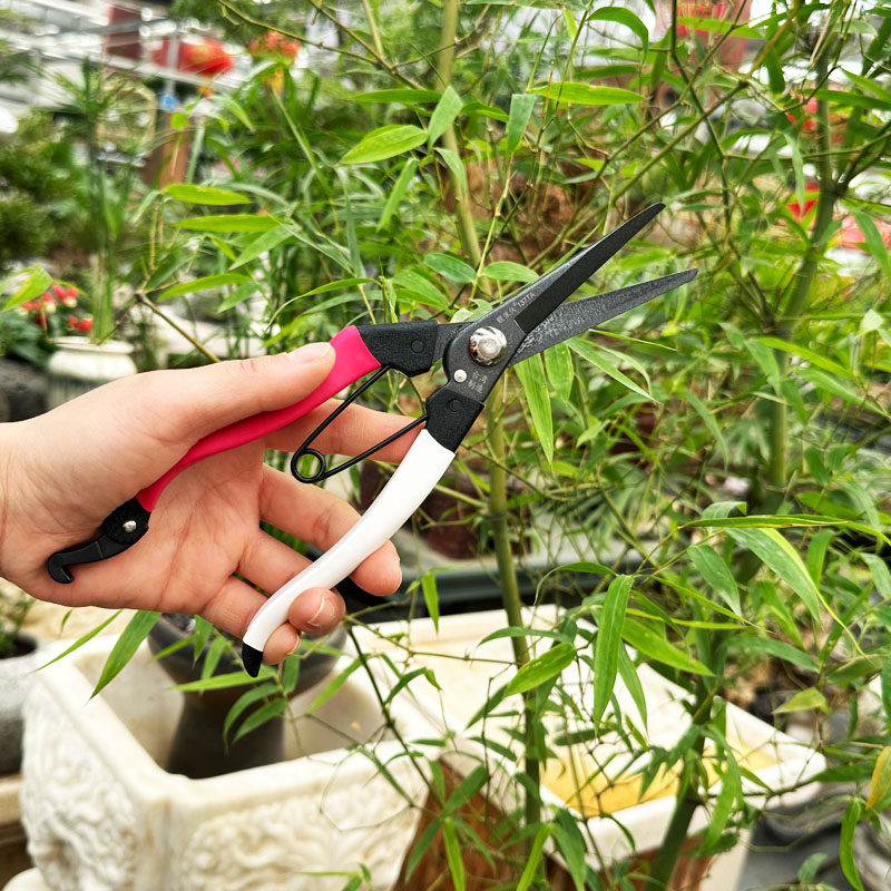台湾原装靓家伙剪枝剪刀加长月季家用园艺果树盆栽园林修花修枝剪