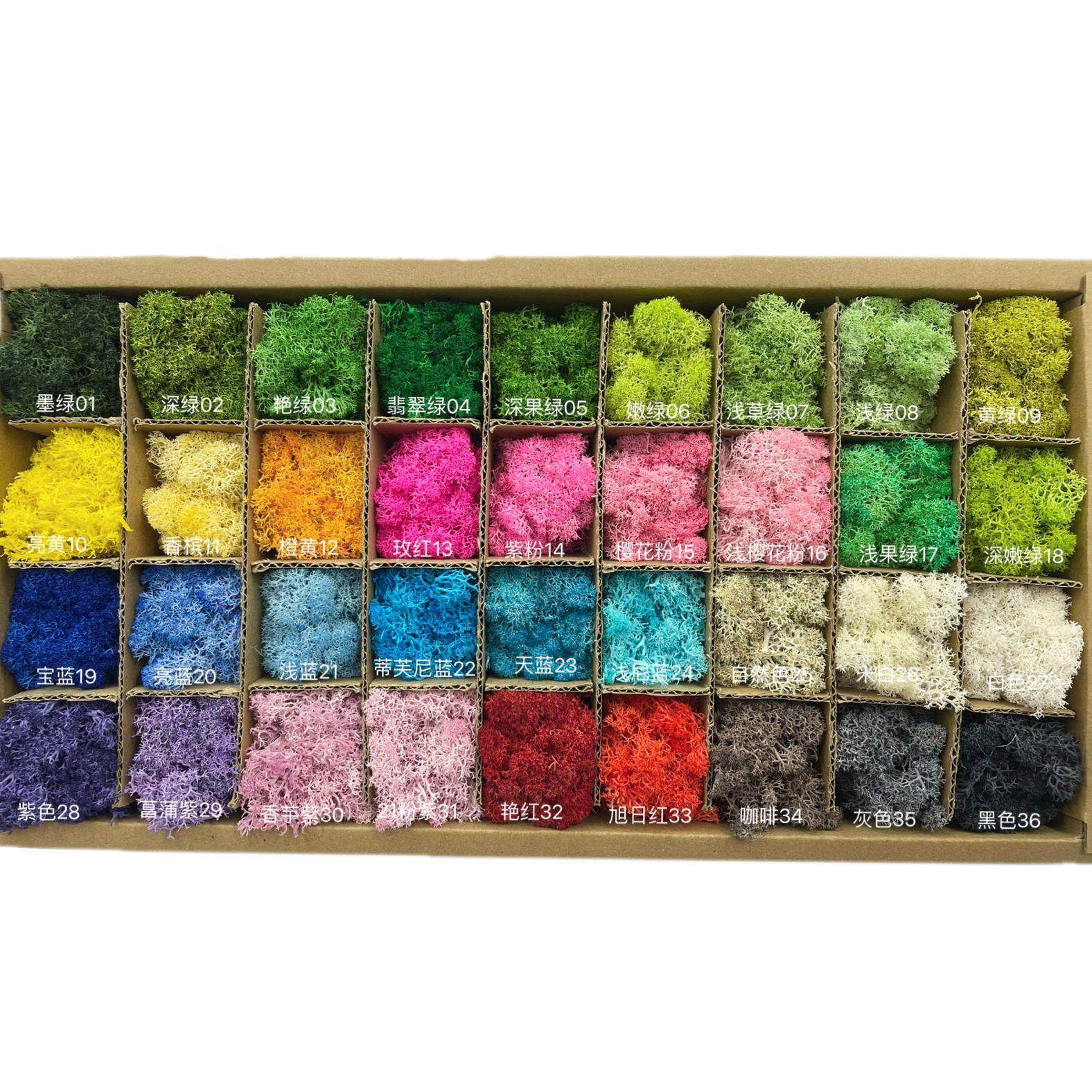 花者永生白发藓大灰藓块 微景观瓶DIY材料永生苔藓现货,家居饰品,餐桌花艺,淘宝优惠券,粉丝福利购,淘宝优惠卷