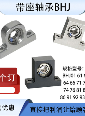 BHJ01/61/62/63/64/66/71/72/73/74/76/81/83/91/92/94带座轴承座