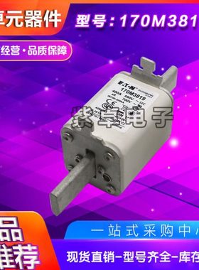 170M3970 170M3971 170M3972 170M3973 170M3974 170M3975熔断器