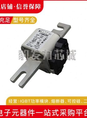 170M4308 170M4309 170M4310 170M4311 170M4312 170M4313熔断器