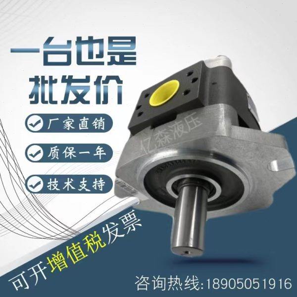 福伊特VOITH齿轮泵IPVP5-32/40/50/64 IPV6-80-101 100 IPV7-125,标准件/零部件/工业耗材,液压泵,淘宝优惠券,粉丝福利购,淘宝优惠卷