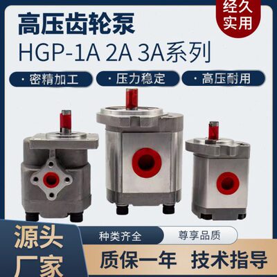 HGP-3A-F8R F11R F13R F14R F17R F19R F23R F25R F28R F30齿轮泵
