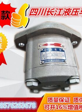 四川长江齿轮泵 CBK1010-B1FR CBK1012/1008/1004/1016/1020-B2TL