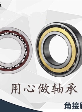 洛阳FZ角接触球轴承 7306 7307 7308 7309 7310 7311 7312 ACM